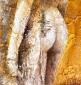 Lorella Lion, Corpi 1 (2010), tecnica mista su legno, cm 20x20