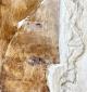 Lorella Lion, Corpi 2 (2010), tecnica mista su legno, cm 20x20