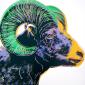 Andy Warhol, Bighorm Ram (1983), serigrafia after a colori, timbro dell'editore (Bluegrass Edition) sul retro, cm 96,5x96,5
