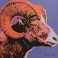 Andy Warhol, Bighorn Ram (1983), litografia after a colori, tiratura limitata (ed. 500 es.), numerata a matita, firmata in lastra, timbro a secco CMOA, cm 50x50
