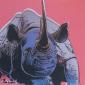 Andy Warhol, Black Rhinoceros (1983), litografia after a colori, tiratura limitata (ed. 500 es.), numerata a matita, firmata in lastra, timbro a secco CMOA, cm 50x50