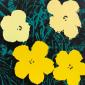 Andy Warhol, Flowers, serigrafia after a colori, edita da Sunday B. Morning, cm 91,5x91,5