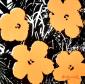 Andy Warhol, Flowers (1967), litografia after a colori, tiratura limitata (ed. 500 es.), numerata a matita, firmata in lastra, timbro a secco CMOA, cm 50x50