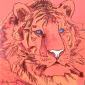 Andy Warhol, Siberian Tiger (1983), litografia after a colori, tiratura limitata (ed. 500 es.), numerata a matita, firmata in lastra, timbro a secco CMOA, cm 50x50