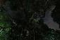 Bernadette Felber, Tree of Peace. New Dehli, India (2019), fotografia su Hahnemuehle Fine Art Paper, cm 100x70